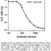 Anti-HA - Image 3